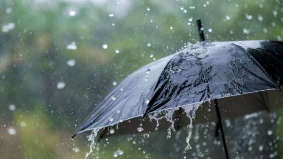 UP Weather Update: यूपी में सितंबर के पहले सप्ताह भी हावी रहेगी उमस और गर्मी, जाने अपने शहर का मौसम