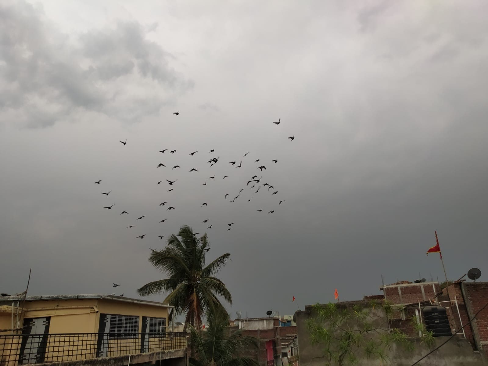 Weather Forecast Updates: बंगाल की खाड़ी में चक्रवात, बिहार-झारखंड में होगी बारिश, जानें मौसम का हाल