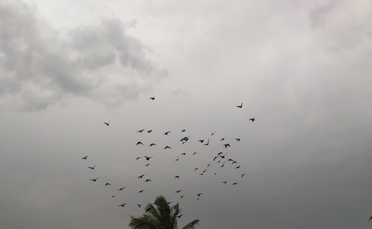 Weather Forecast: दिल्ली में तेज बारिश, पंजाब-हरियाणा में गिरा तापमान, जानें अन्य राज्यों का क्या है हाल