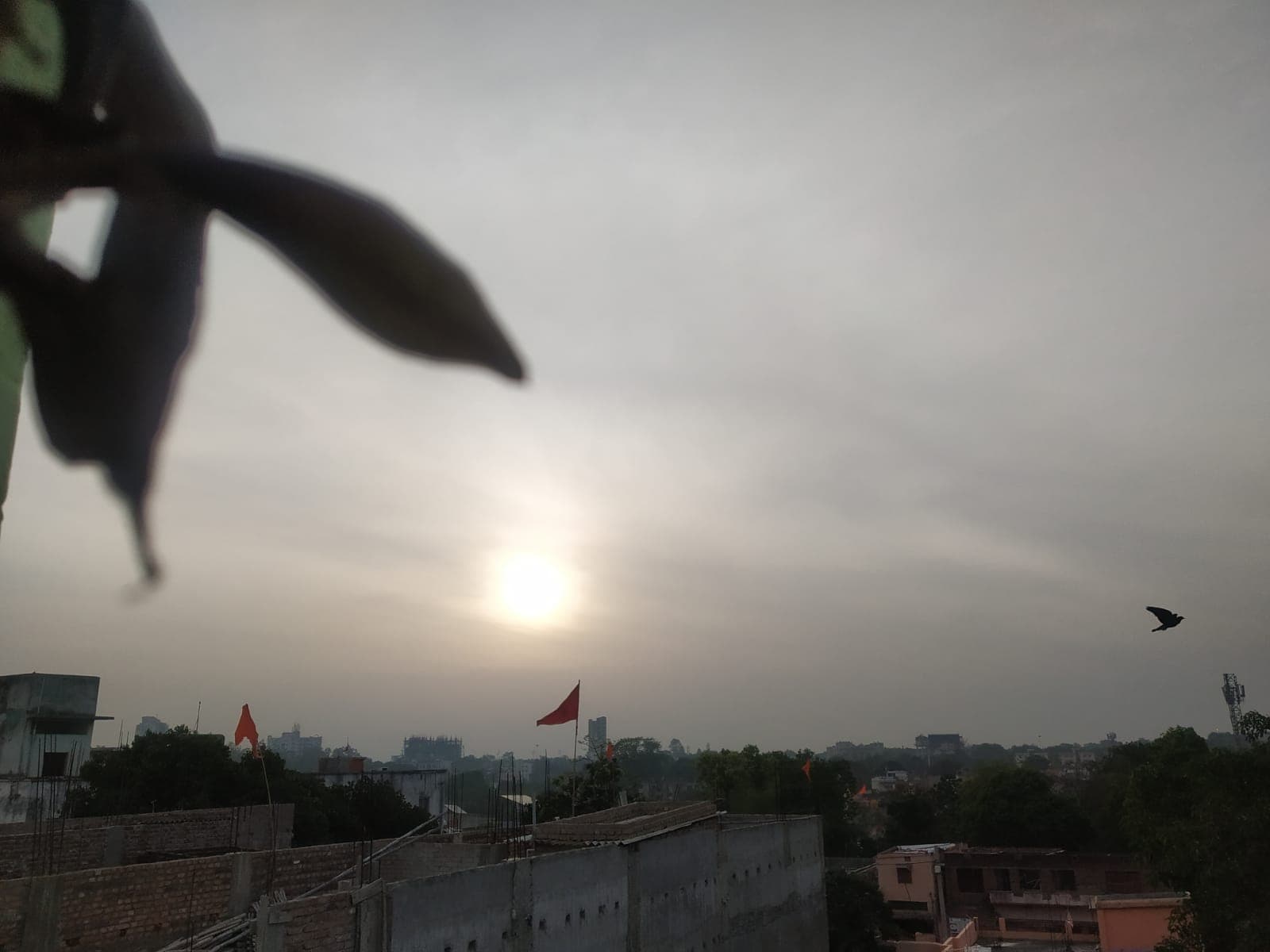 Weather Forecast Updates: दिल्ली में गर्मी ने किया बेहाल, झारखंड में बारिश, जानें मौसम का हाल