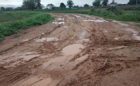 लातेहार, पश्चिमी सिंहभूम और लोहरदगा के लिए मौसम विभाग ने जारी की चेतावनी, इटखोरी में बारिश से किसान परेशान