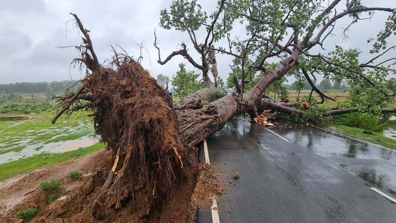 बिहार में कहर बनकर आई आंधी-तूफान और बारिश, वज्रपात से 33 लोगों की मौत, पेड़ और पोल गिरने से भारी तबाही