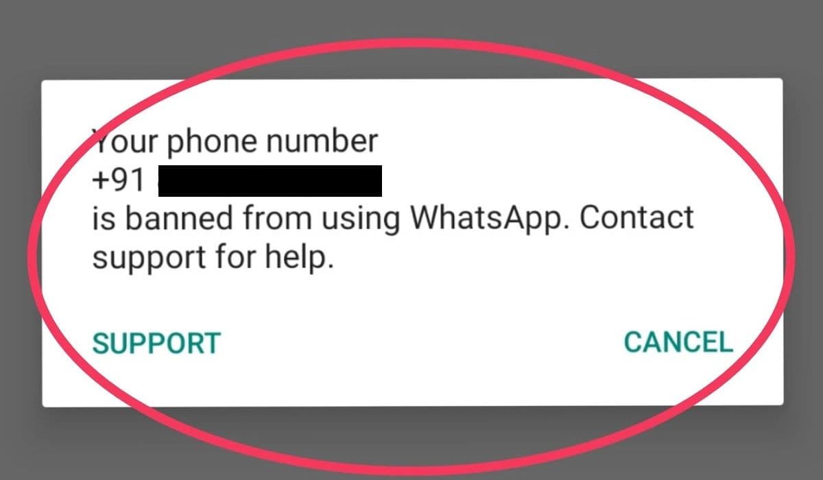 WhatsApp ने बैन किये 16 लाख यूजर्स के अकाउंट, कहीं आप भी तो नहीं कर रहे ऐसी गलती?