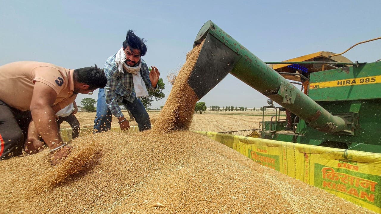 आटे की कीमत में 9 फीसदी से अधिक बढ़ोतरी, सरकार ने गेहूं के निर्यात पर तत्काल प्रभाव से लगाई रोक