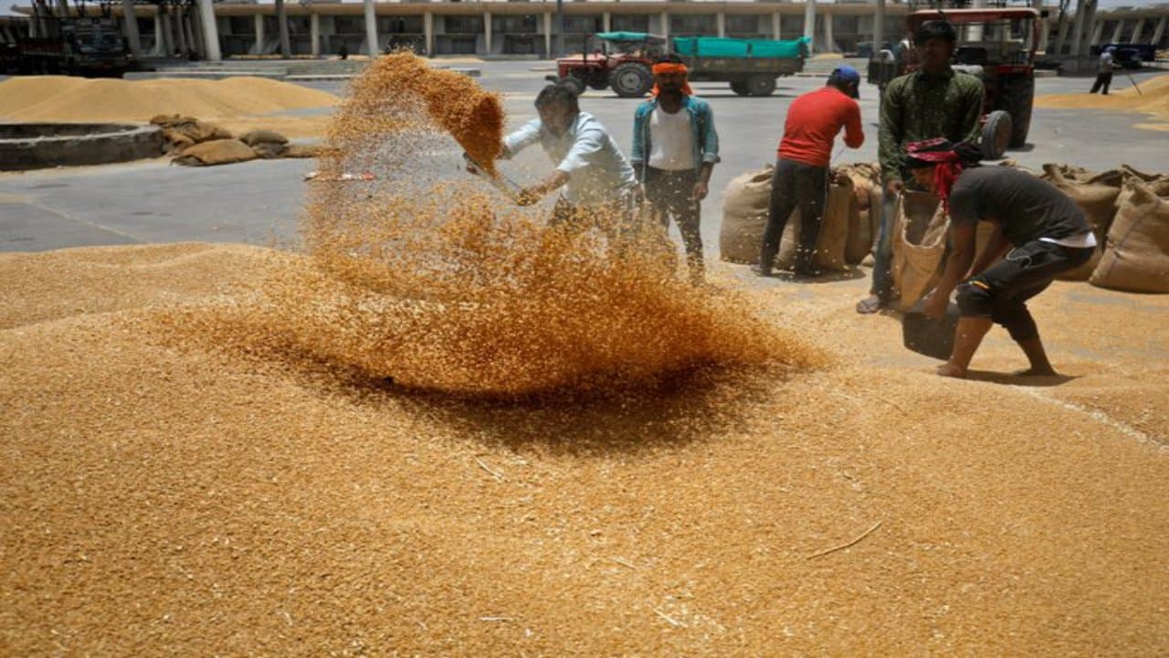 Price Hike: गेहूं, चावल और चीनी का नहीं बढ़ेगा भाव, केंद्रीय मंत्री ने बताया सरकार के प्लान, आप भी जानें