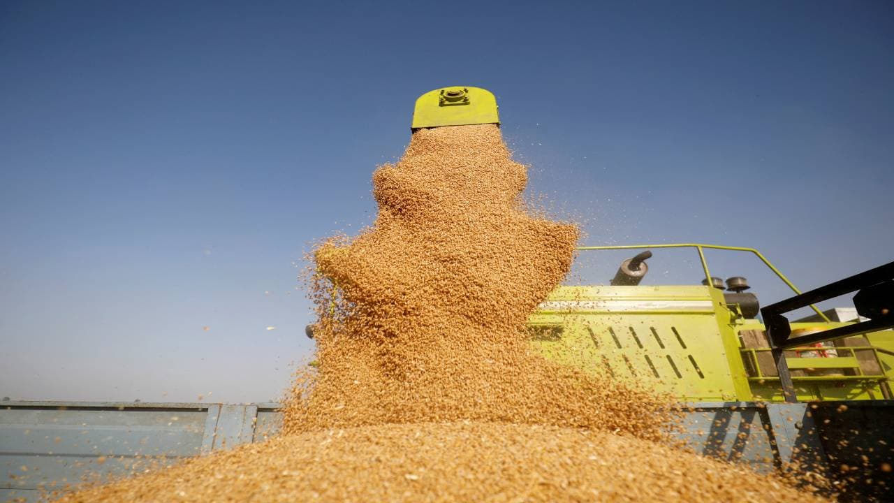 घबराकर औने-पौने दामों में गेहूं की बिक्री न करें किसान, केंद्र ने खरीद नियमों में दी ढील