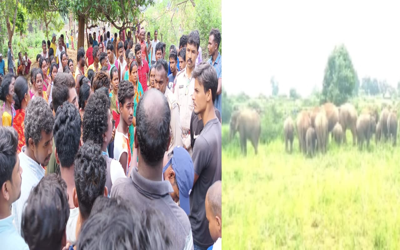 पूर्वी सिंहभूम में जंगली हाथियों का आतंक, चाकुलिया में बुजुर्ग को हाथी ने पटककर मार डाला