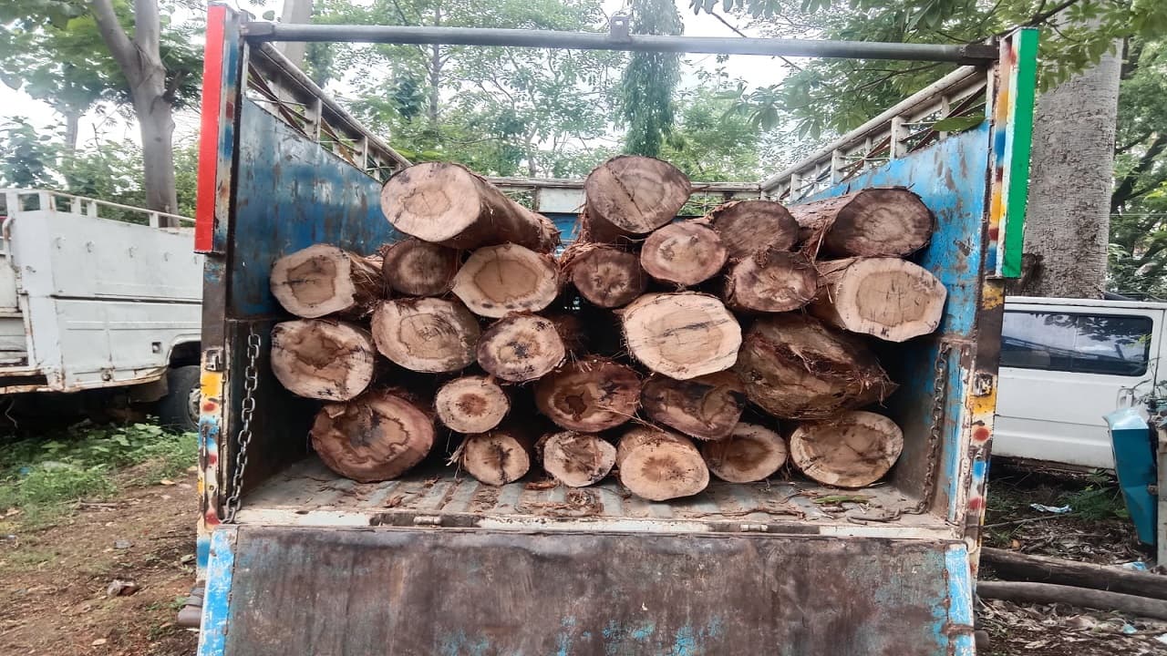 दुमका : पुलिस ने गुप्त सूचना के आधार पर किया अवैध लकड़ी वाहन जब्त, जांच जारी