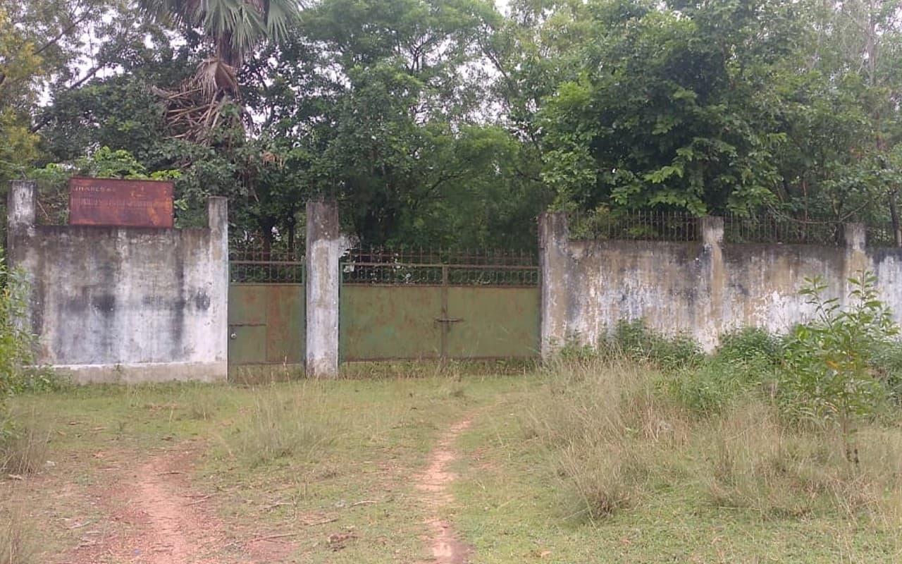 World Bamboo Day: क्यों बंद हो गया मानुषमुड़िया बंबू प्लांट में उत्पादन? काम बंद होने से किसान हैं मायूस