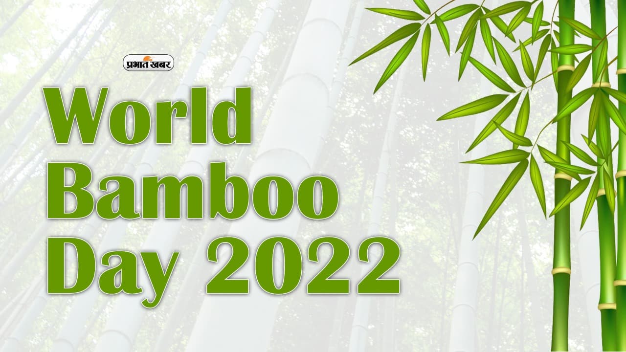 World Bamboo Day 2022: जंगल बचाने और पर्यावरण संरक्षण के लिए बांस के उत्पादन पर दें जोर