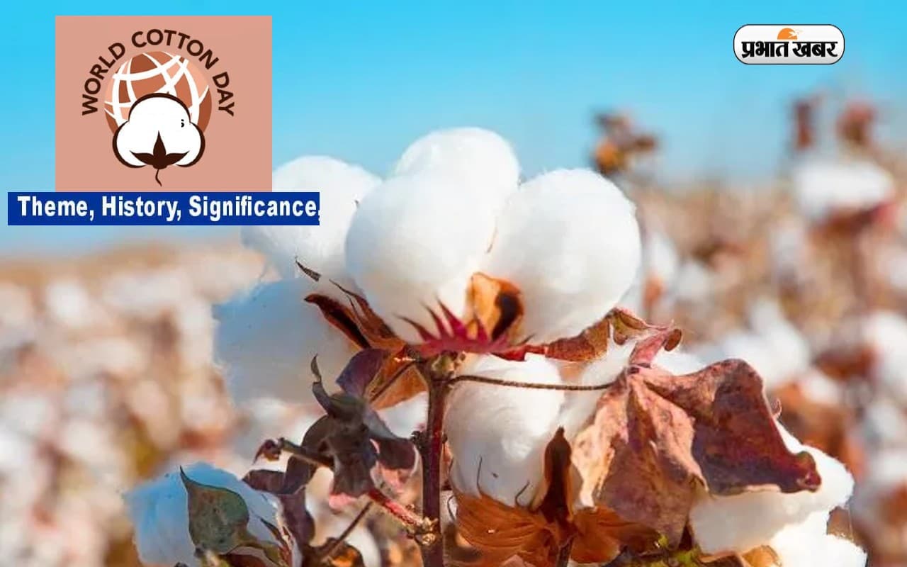 World Cotton Day 2023:  विश्व कपास दिवस, जानें खास दिन का महत्व और इतिहास