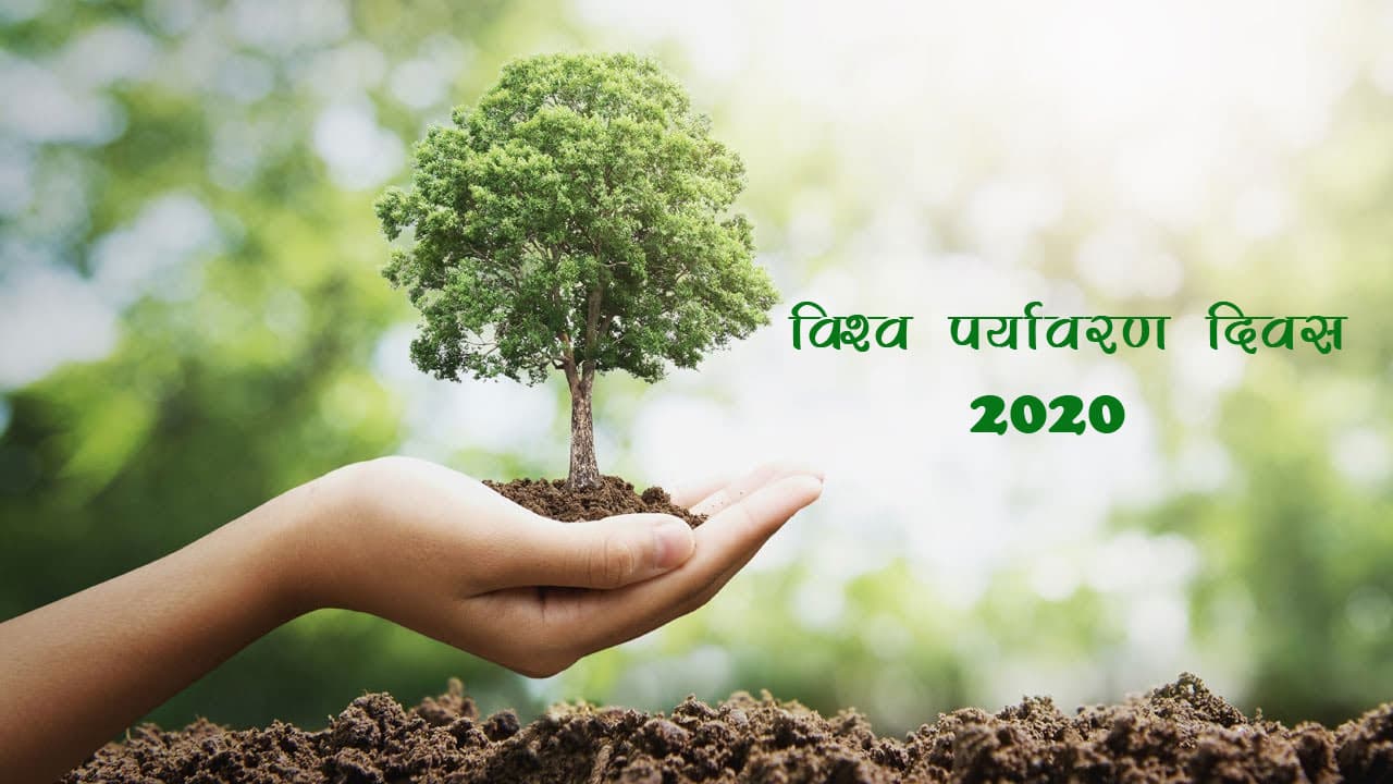 World Environment Day 2020: लॉकडाउन में भी घर में रहकर ऐसे मनाएं विश्व पर्यावरण दिवस