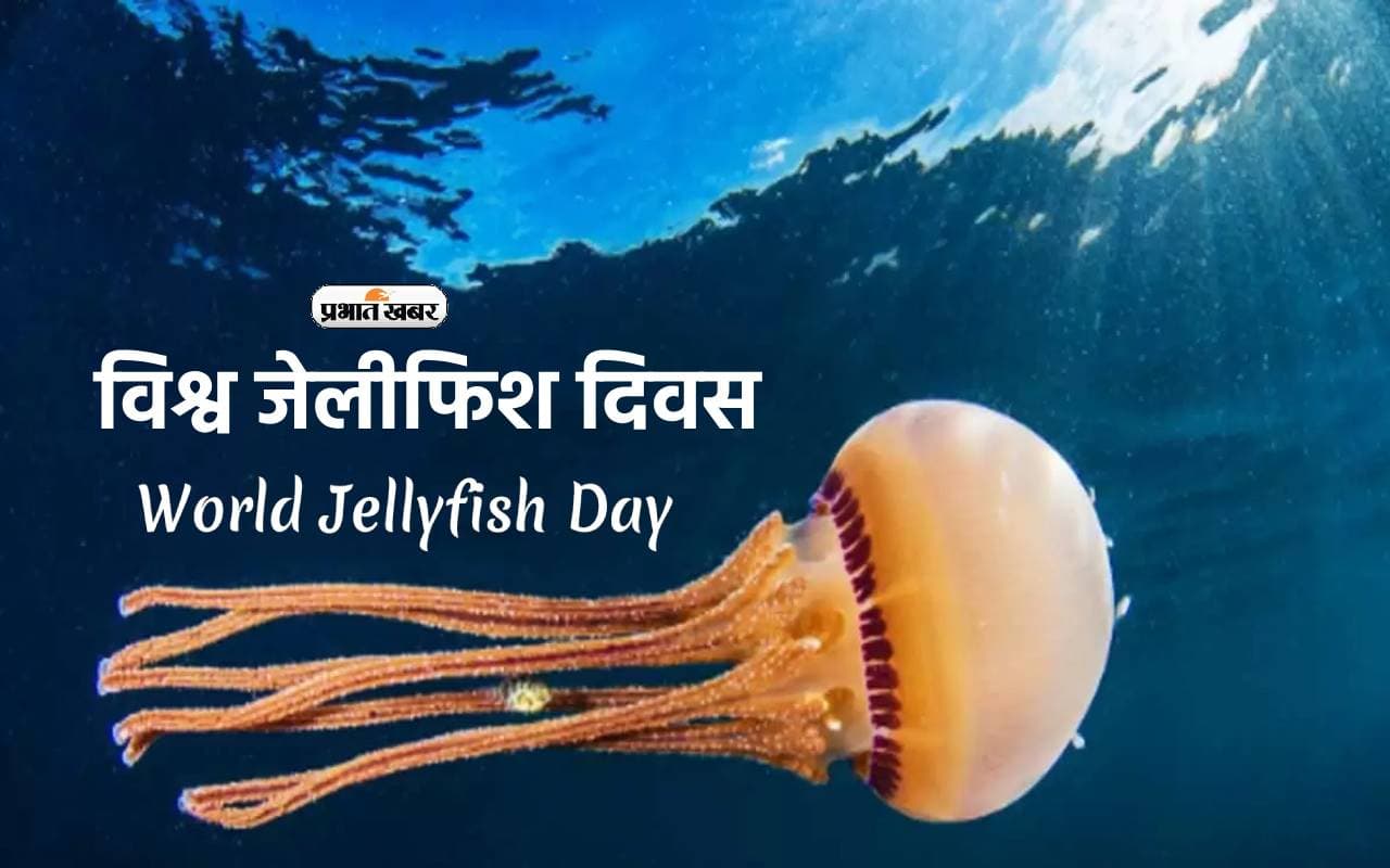 World Jellyfish Day 2023: आज मनाया जा रहा है विश्व जेलीफिश दिवस, जानें दुनिया के सबसे लंबा जानवर के बारे में