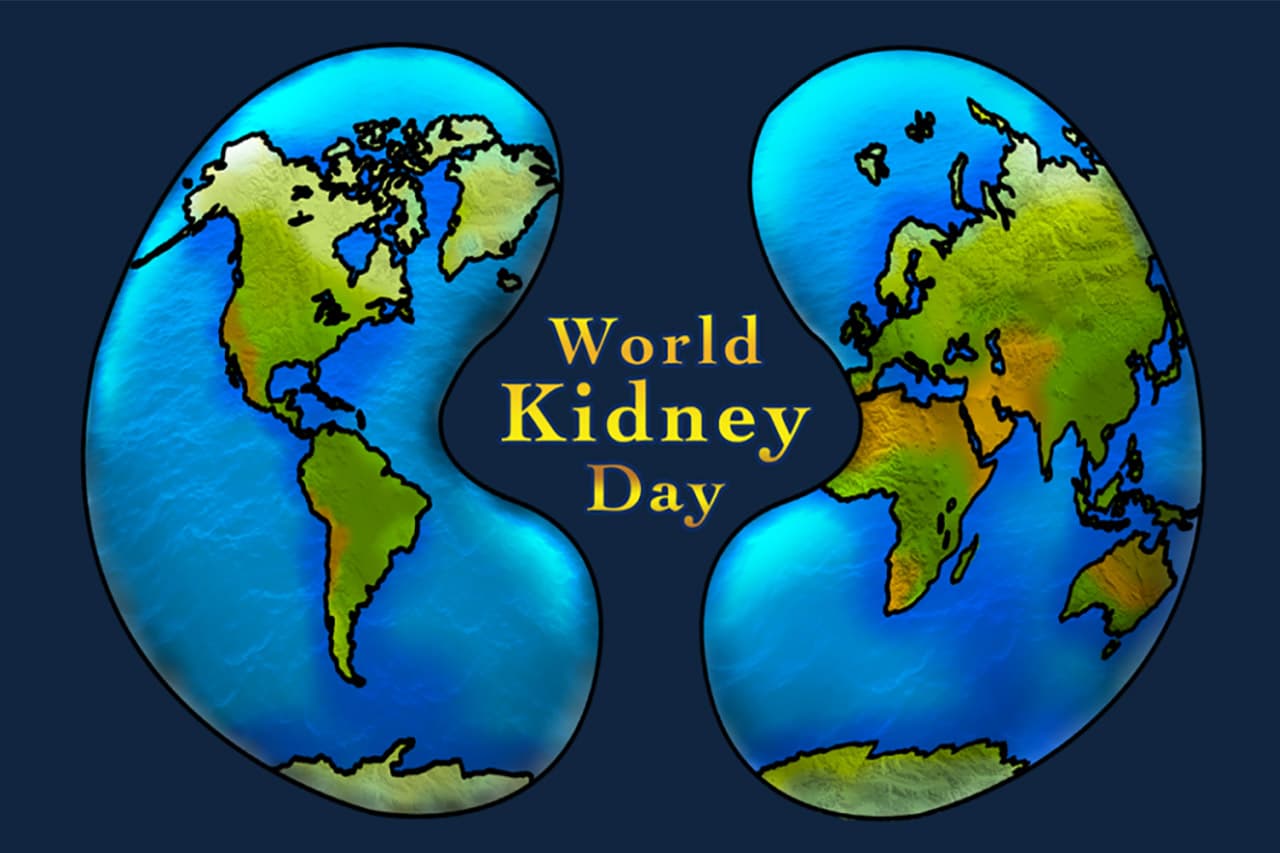 World Kidney Day: क्या करें जब हो एक या तीन किडनी