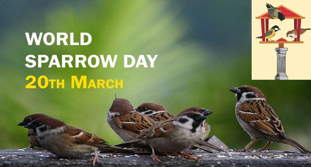 World Sparrow Day 2022: विश्व गौरैया दिवस आज, जानें इसका उद्देश्य और इतिहास