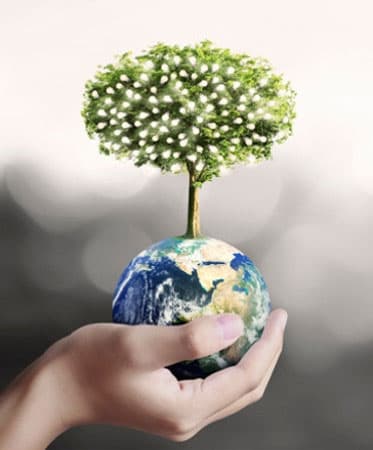 World earth day 2024 : धरती को सहेजने वाले विकल्पों के साथ बढ़ें आगे