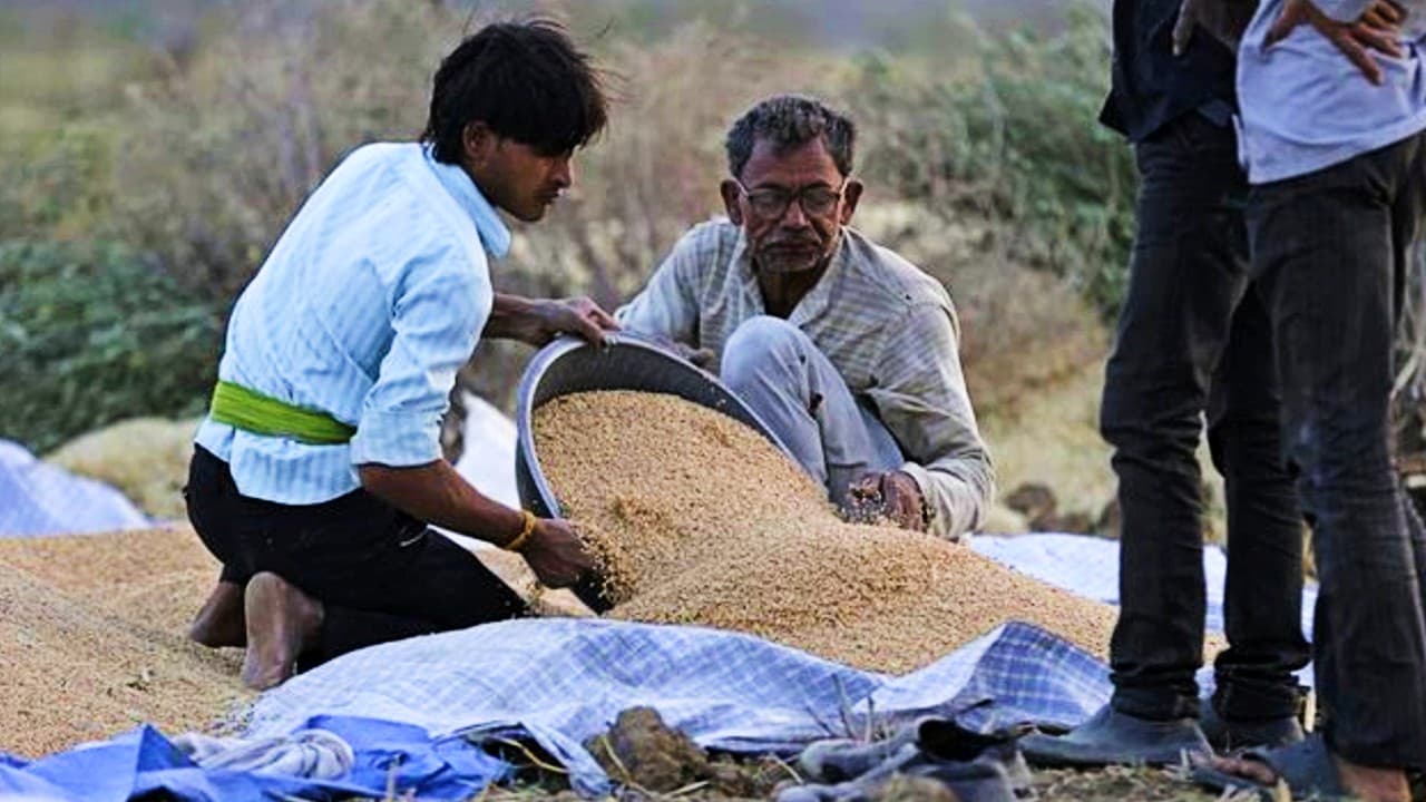 चार माह के उच्च स्तर पर महंगाई, मार्च में थोक मुद्रास्फीति 14.55 प्रतिशत हुई, जानें क्या हैं इसके कारण