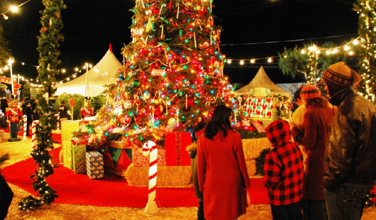 Christmas Tree Vastu Tips: क्रिसमस ट्री लगाने से दूर होती है धन संबंधी परेशानी, इस दिशा में लगाना होता है शुभ