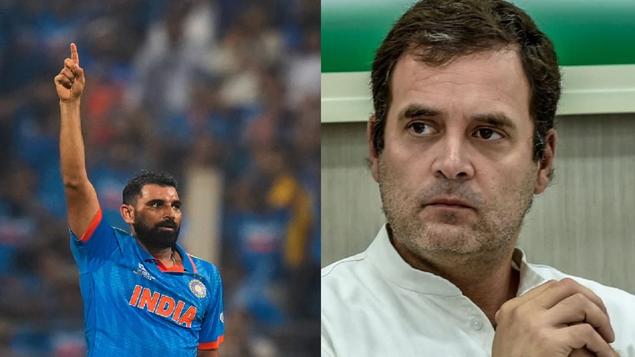 मोहम्मद शमी को लेकर राहुल गांधी का पुराना ट्वीट हो रहा वायरल, जानिए कांग्रेस नेता ने किस मुद्दे को छेड़ा..