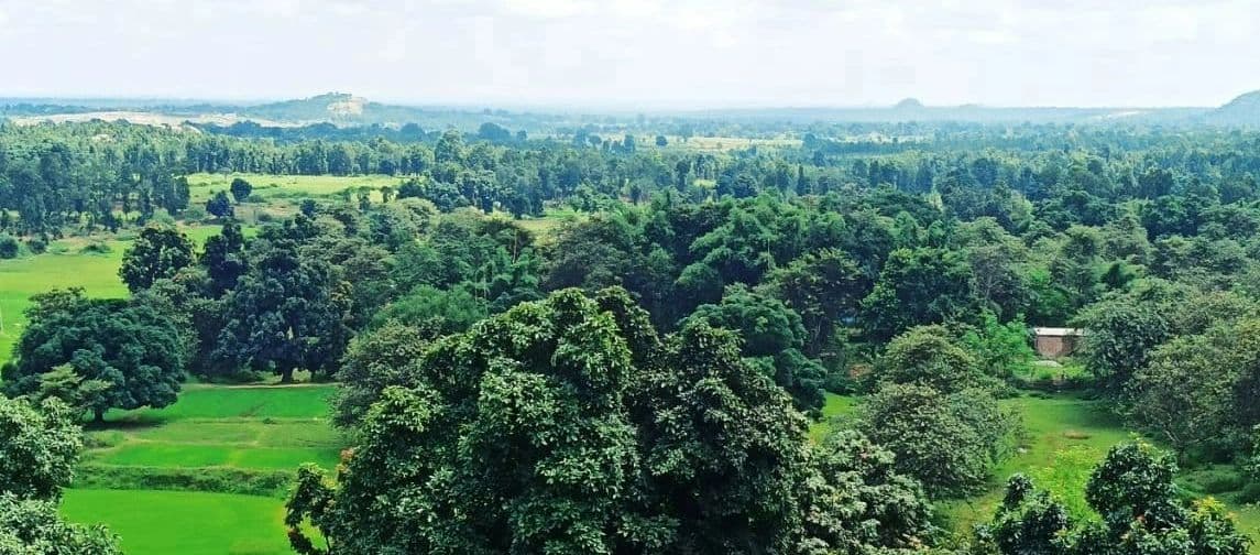 Jharkhand Weather Updates: ठंड से कब मिलेगी राहत, कब तक छाया रहेगा कोहरा, क्या बारिश के भी हैं आसार