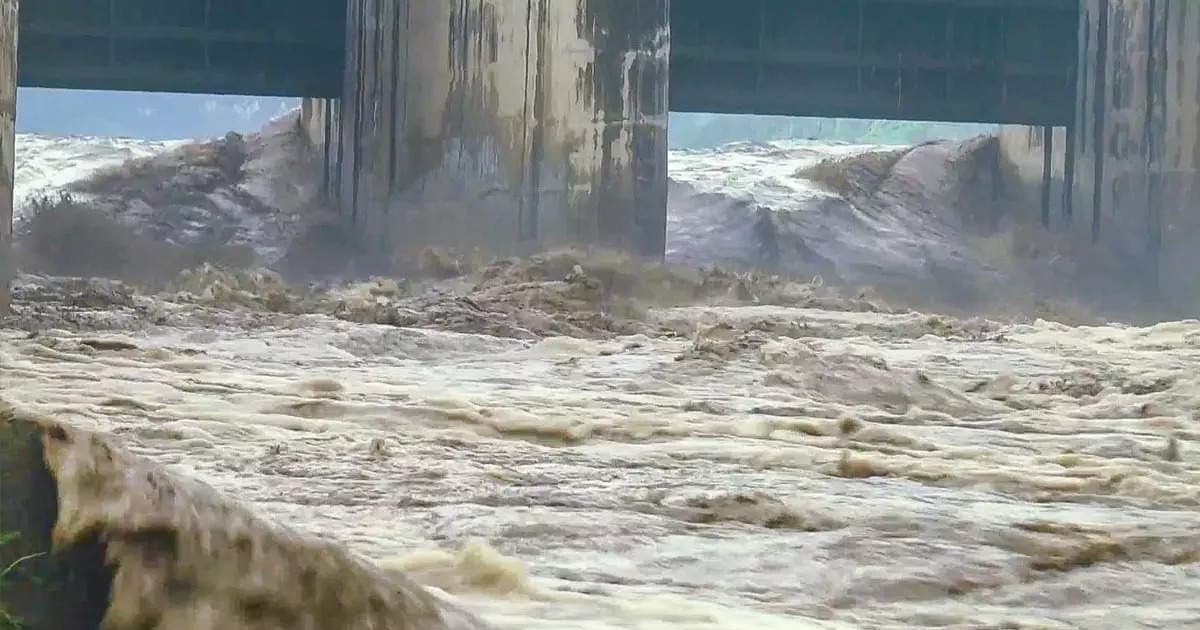 प्रयागराज: हथिनी कुंड से पानी छोड़े जाने के बाद उफान पर यमुना, बाढ़ की आशंका में सहमे लोग, चौबीस घंटे निगरानी