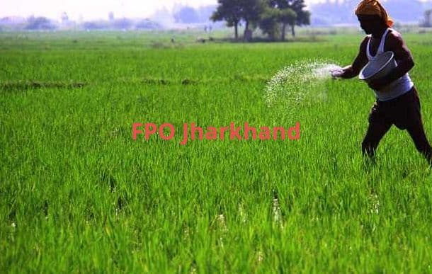 झारखंड के किसानों ने चुरचू FPO को बनाया देश का रोल मॉडल, बना 10 लाख का क्रेडिट गारंटी पानेवाला पहला FPO
