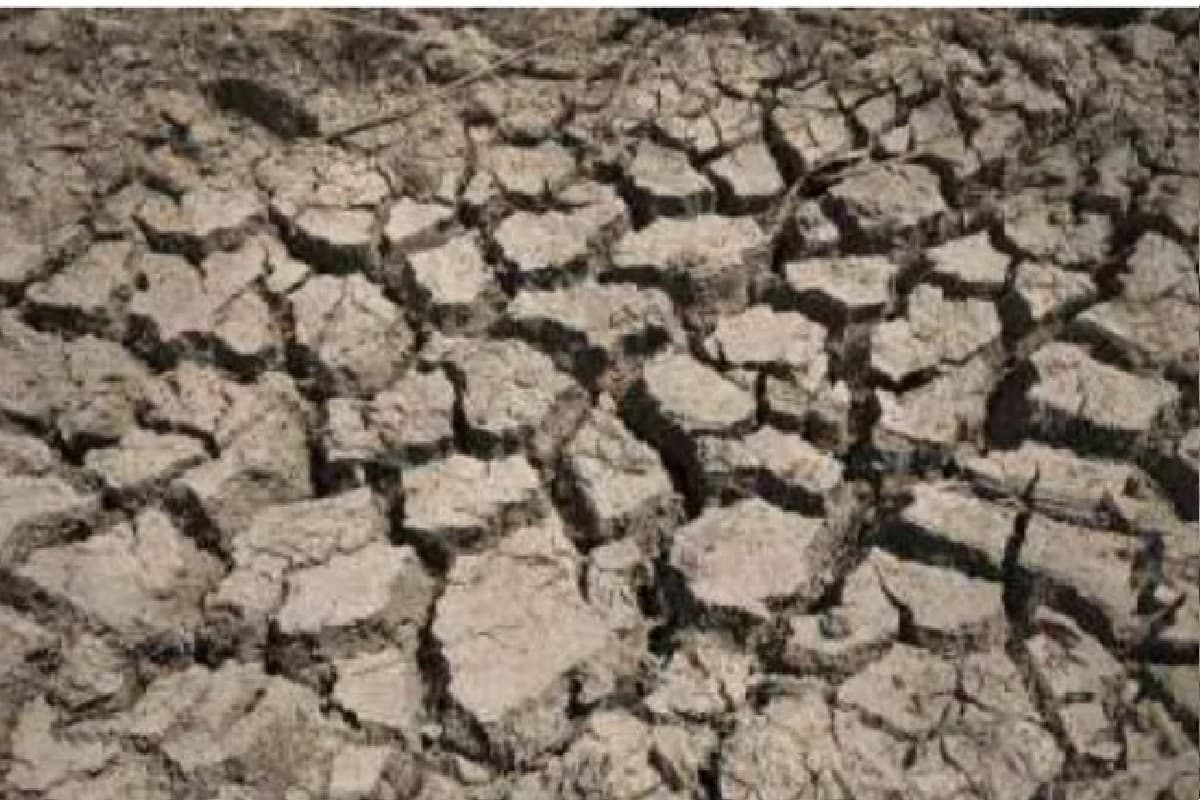 झारखंड में सूखे से 15 लाख से अधिक किसान प्रभावित, सरकार ने करायी थी ग्राउंड ट्रूथिंग