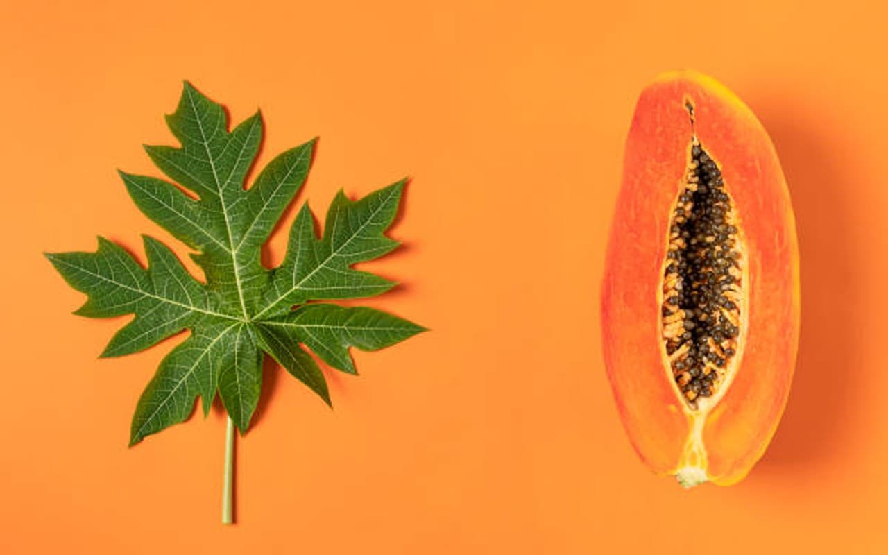 Benefits of Eating Papaya in Hindi: ग्लोइंग स्किन से लेकर शारीरिक क्षमता बढ़ाने के लिए फायदेमंद है पपीता