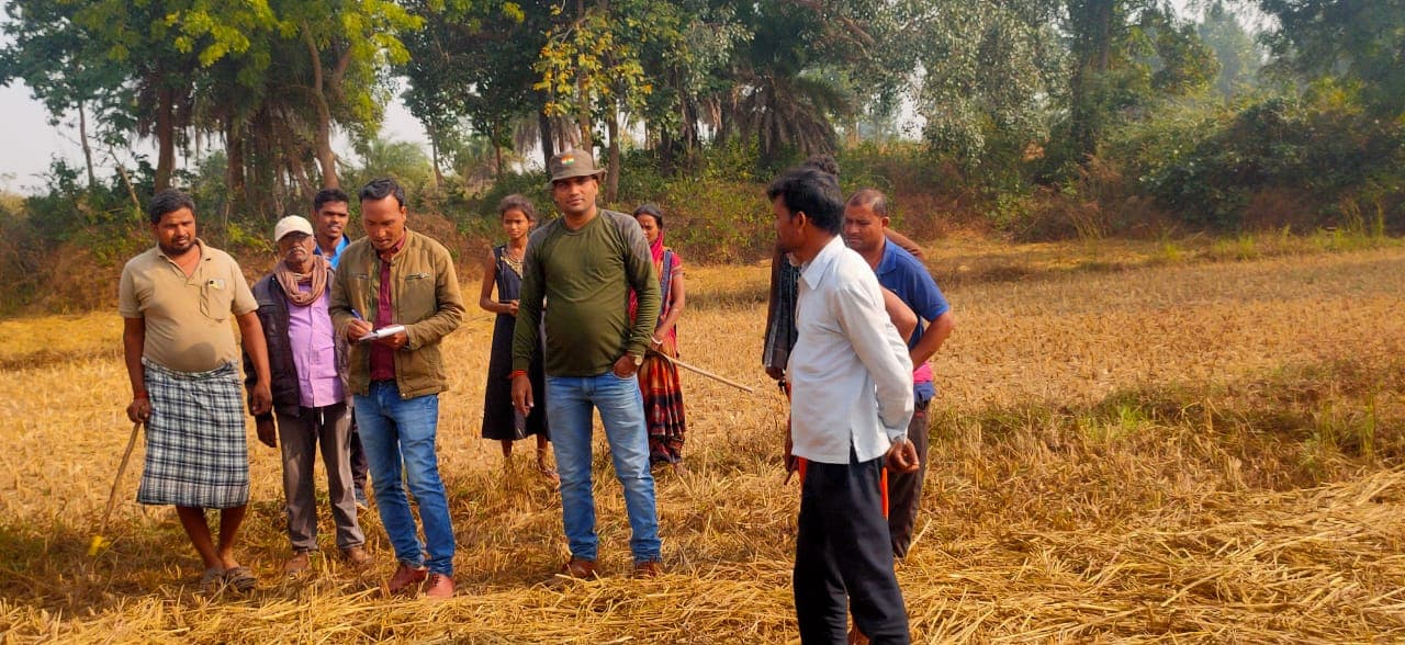 गिरिडीह : 42 हाथियों के झुंड ने मचाया उत्पात, 25 एकड़ में लगी फसलों को रौंदा