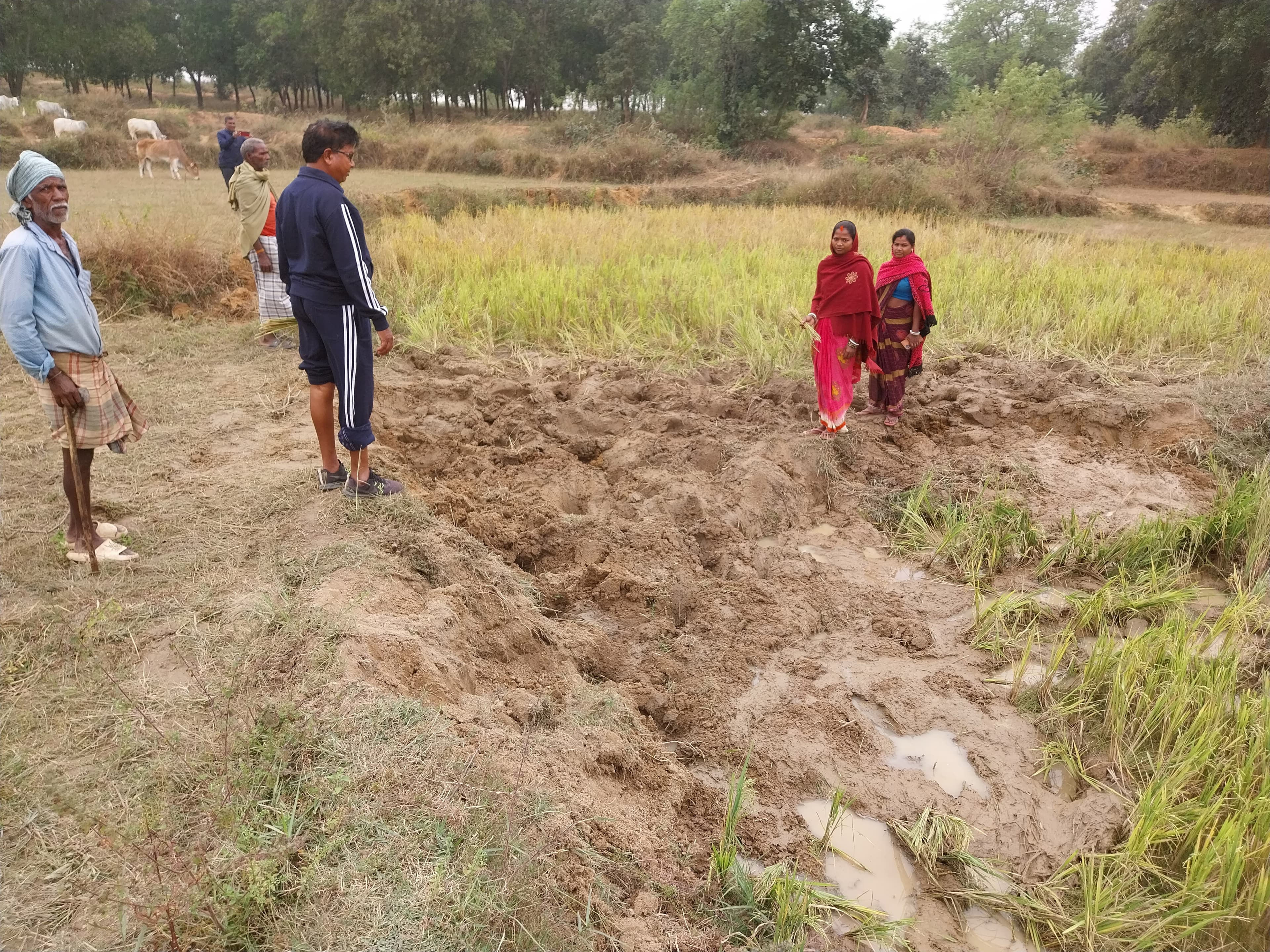गिरिडीह : बिरनी में एक सप्ताह से जारी है हाथियों का उत्पात, लोग परेशान