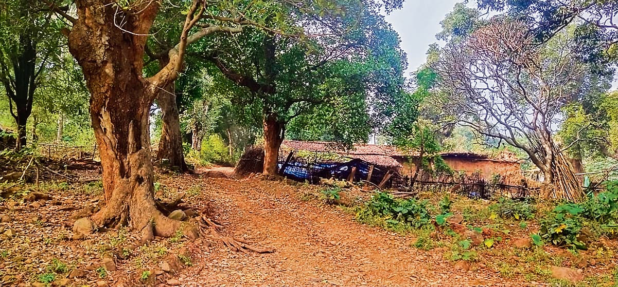 2000 फीट ऊंचे पहाड़ पर बसे लांजी गांव में पीने का पानी नहीं, चुआं से प्यास बुझा रहे 40 परिवार