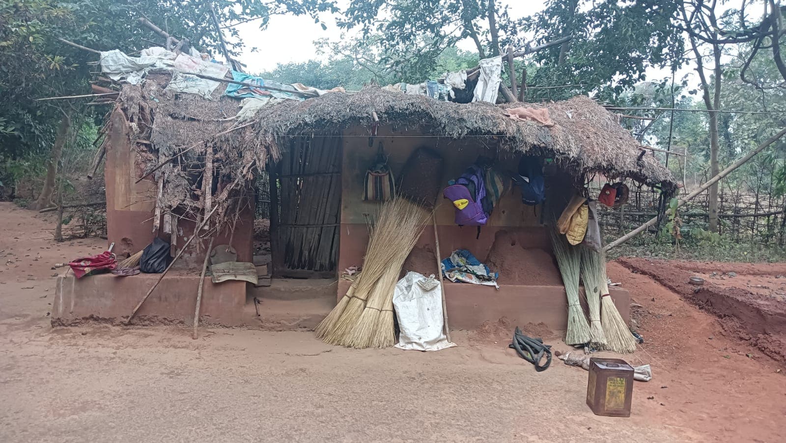 घाटशिला : छह माह पहले हाथी ने घर तोड़ा, खुले आकाश के नीचे रह रहा परिवार