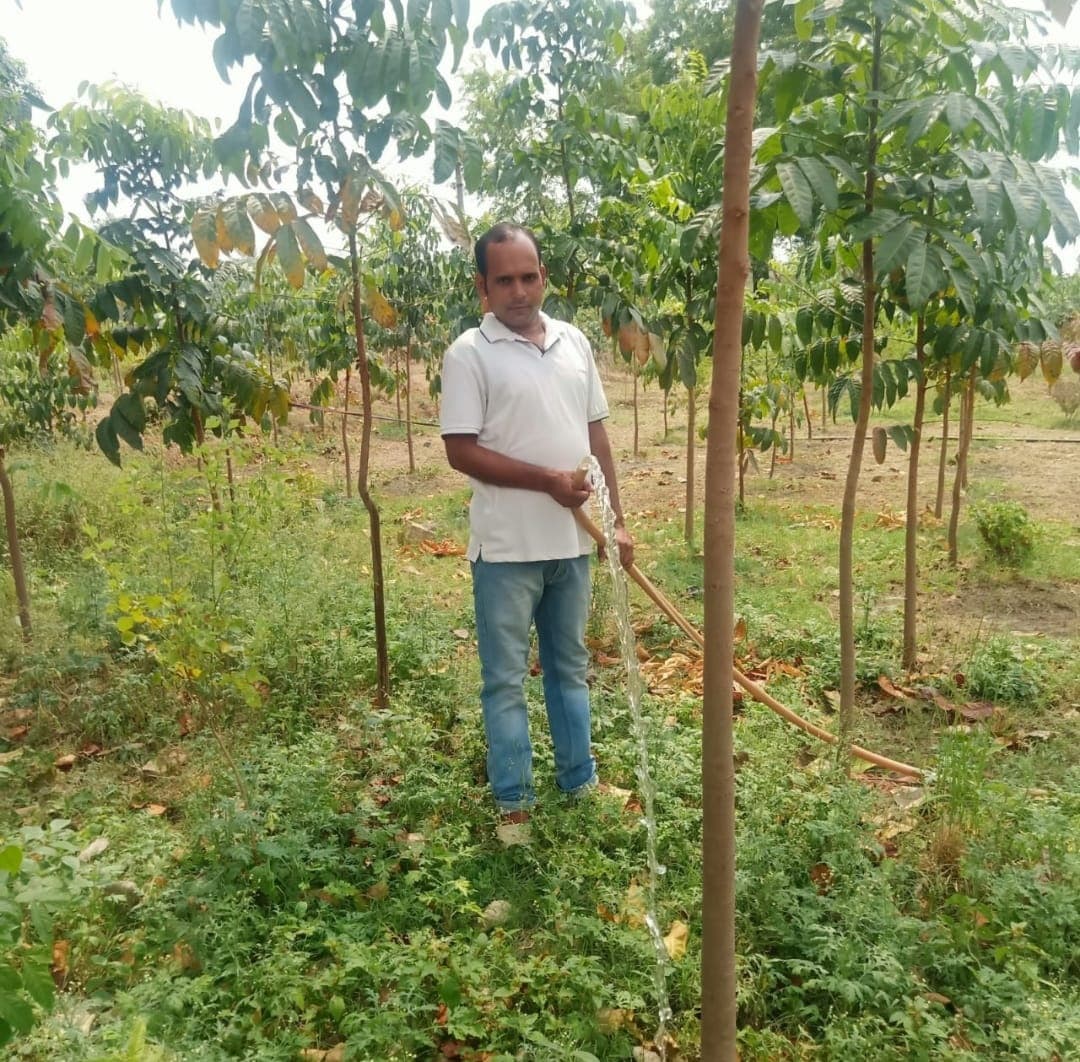 झारखंड : कोरोना काल में शुरू की बागवानी, सात एकड़ में लगाये 10 हजार पौधे