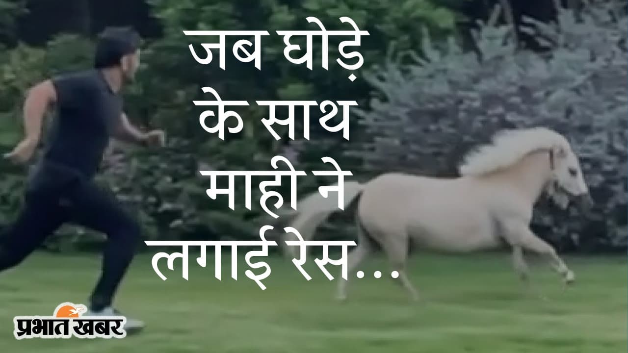 घोड़े के साथ टीम इंडिया के पूर्व कैप्टन महेंद्र सिंह धौनी की रेस, सोशल मीडिया पर वीडियो वायरल