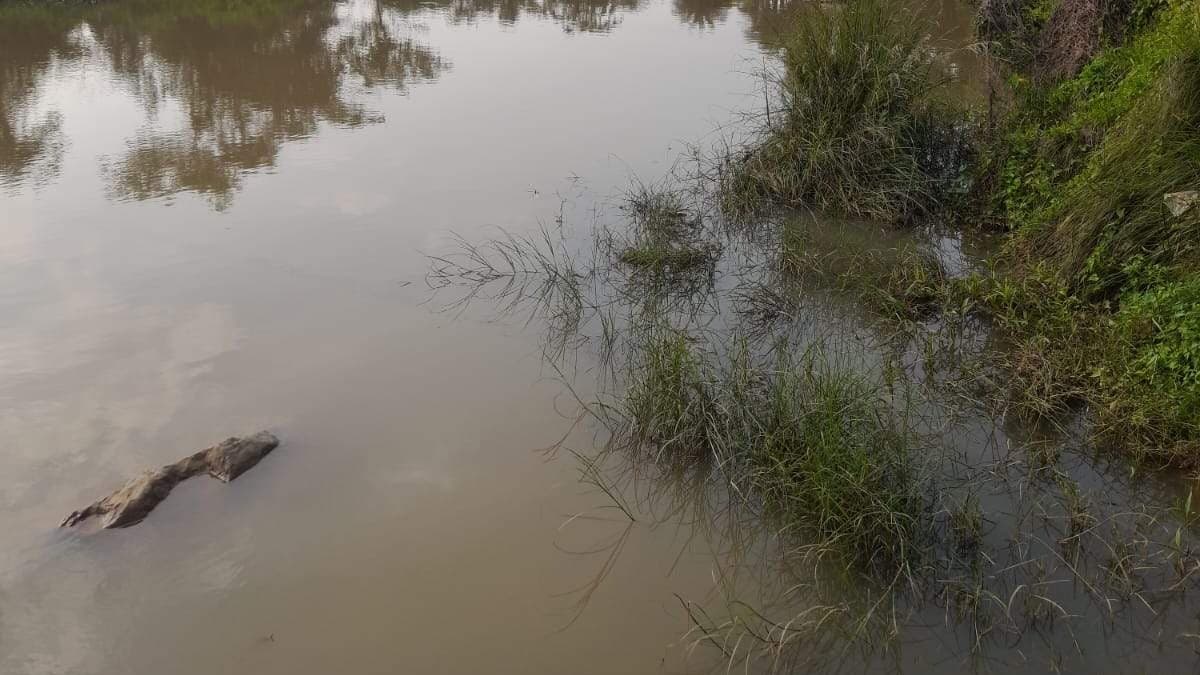 बोकारो : पिंड्राजोरा थाना क्षेत्र में धड़ल्ले से हो रही बालू की तस्करी