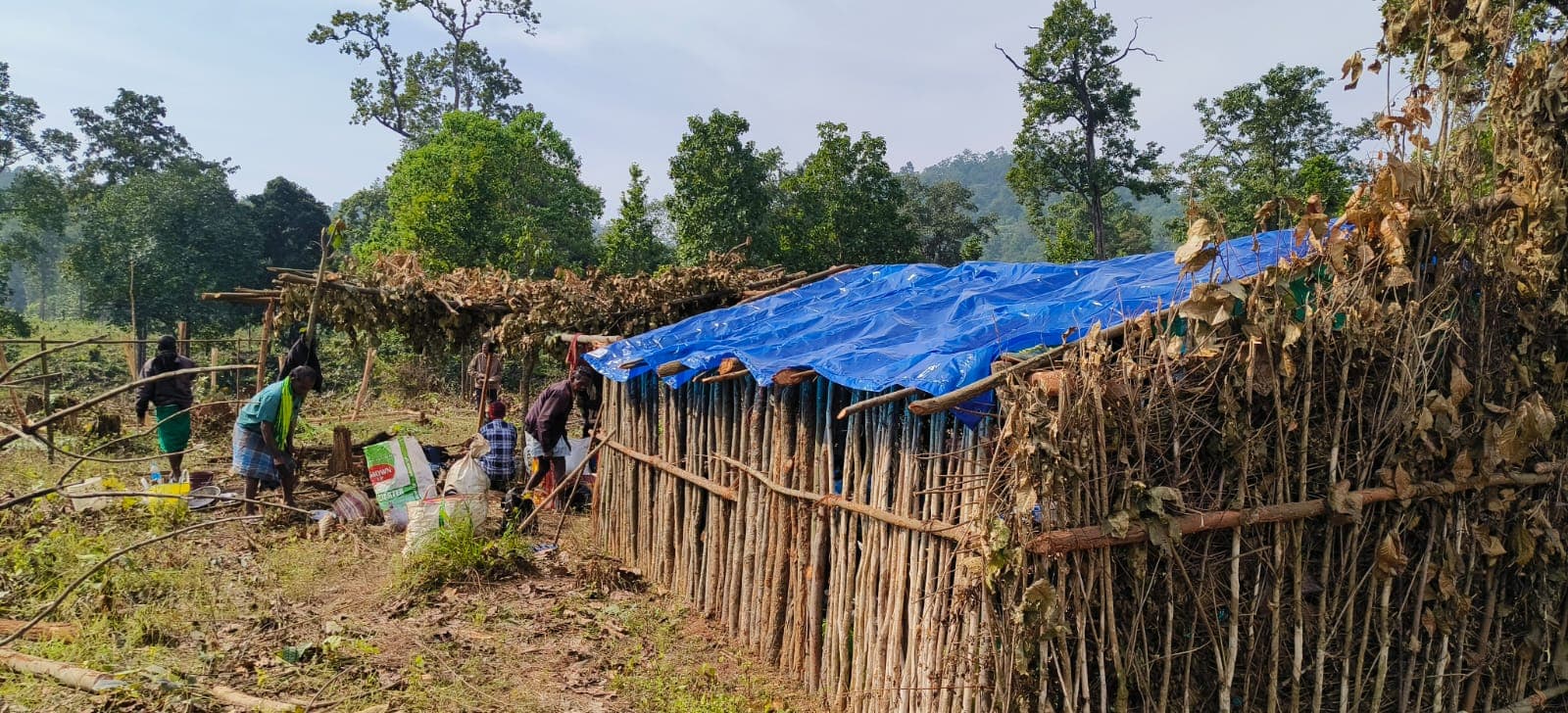 पश्चिमी सिंहभूम : जंगल काटने के मामले में मुख्य साजिशकर्ता समेत 20 से अधिक पर मामला दर्ज