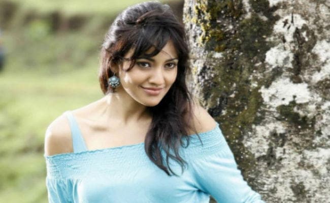 ड्वेन ब्रावो संग डांस करती दिखेंगी नेहा शर्मा, बताया- प्रभावशाली डांसर...