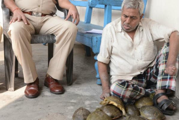 कोडरमा का कछुआ तस्कर धनबाद में पकड़ाया