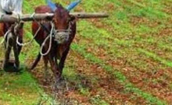 रांची : छह माह में सात फीसदी खर्च किया है कृषि विभाग ने, कई योजनाओं को अब तक स्वीकृति नहीं