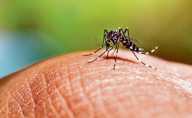 पटना : 10 पुलिस जवानों को हुआ डेंगू, तीन गुनी बढ़ी प्लेटलेट्स की मांग, वसूल रहे मनमाना दाम