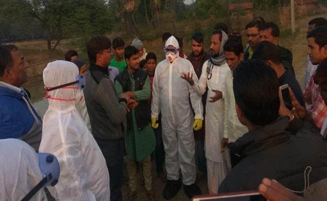 बिहार : मुंगेर के असरगंज में H5N1 एवियन एंफल्युएंजा का आउटब्रेक, अलर्ट जारी