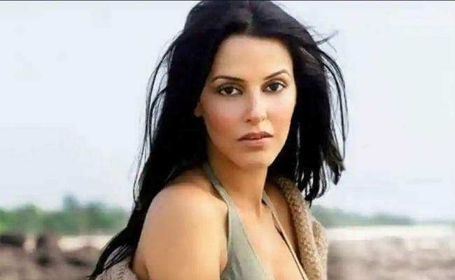 फिल्मों में वापसी को लेकर नेहा धूपिया ने कही ये बात…