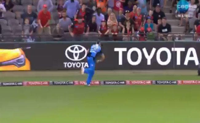 VIDEO : इस फील्‍डर ने लपका क्रिकेट इतिहास का सबसे खतरनाक कैच