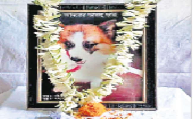 कोलकाता : इंसानों की तरह किया गया इस पातलू जानवर का श्राद्ध कर्म