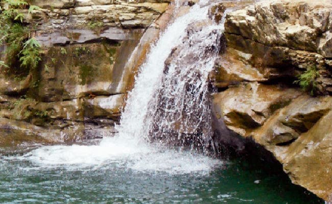 पटना : बरसात शुरू होते ही पर्यटकों के लिए बंद हो गया वीटीआर