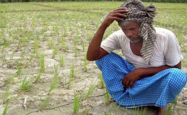 पटना : बाढ़ के बदले अब सूखे से निबटने की करनी होगी तैयारी 31 जुलाई के बाद होगा आकलन