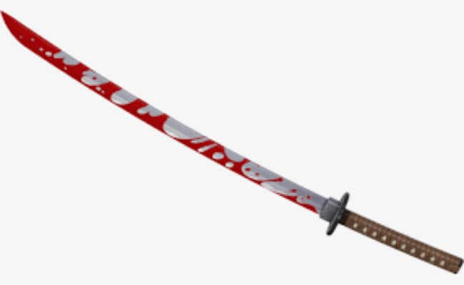 बगैर तलवार के ही टीएमबीयू के छात्र करेंगे तलवारबाजी !