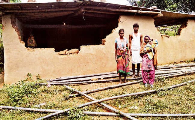 ओरमांझी : नगड़ीजारा में 18 हाथियों के झुंड ने मचाया उत्पात, कई घरों को तोड़ा, फसलें रौंदी