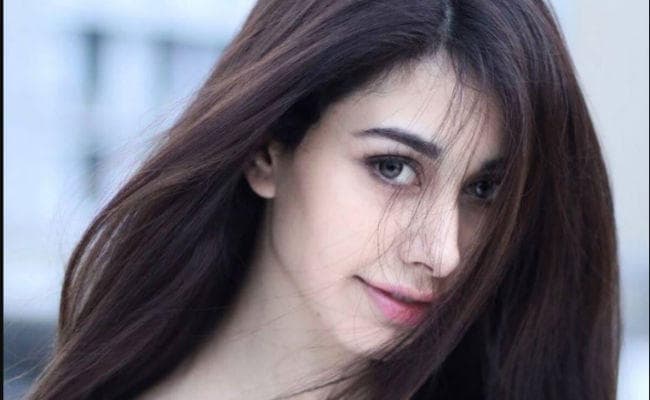 सलमान खान मेरे असली हीरो : वारिना हुसैन