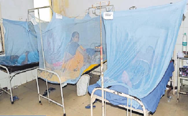 राज्य में डेंगू के मरीजों  की संख्या में लगातार हो रहा इजाफा और ब्लड बैंक में प्लेटलेट्स की भारी कमी